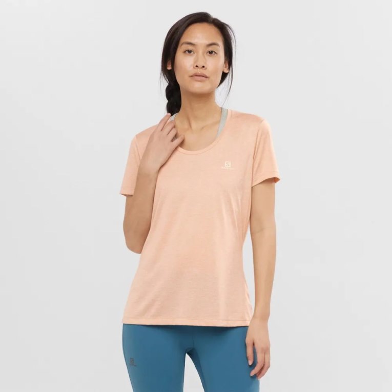 Camiseta Salomon Agile Corta Sleeve Mujer Albaricoque | MX ZQIN240